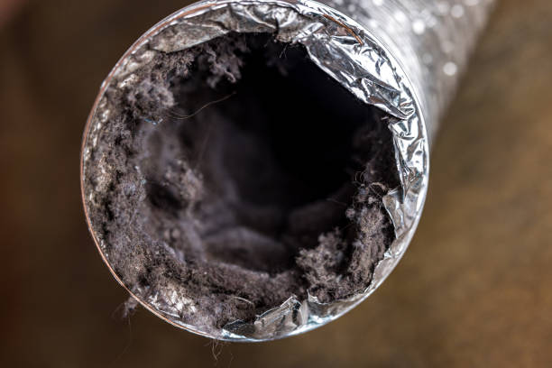Best Emergency Air Duct Cleaning  in Hazen, ND