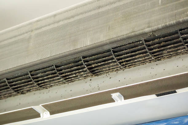 Best Residential Air Duct Cleaning  in Hazen, ND